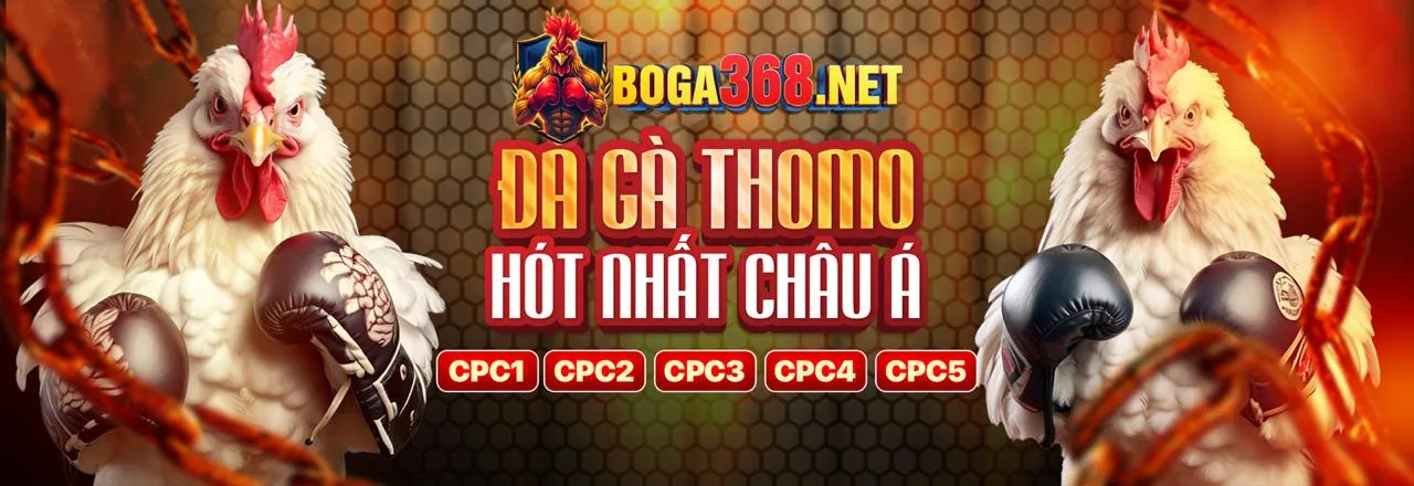 bet188 Khuyến Mãi Hấp Dẫn 2026 - Nền Tảng Cá Cược An Toàn và Uy Tín