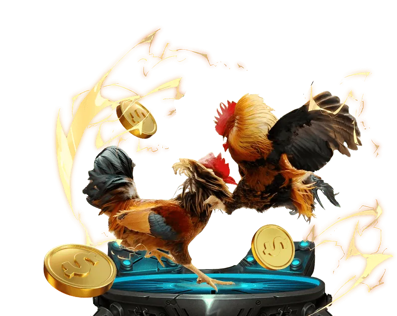 Đá Gà Trực Tiếp bet188 với các trận đấu kịch tính